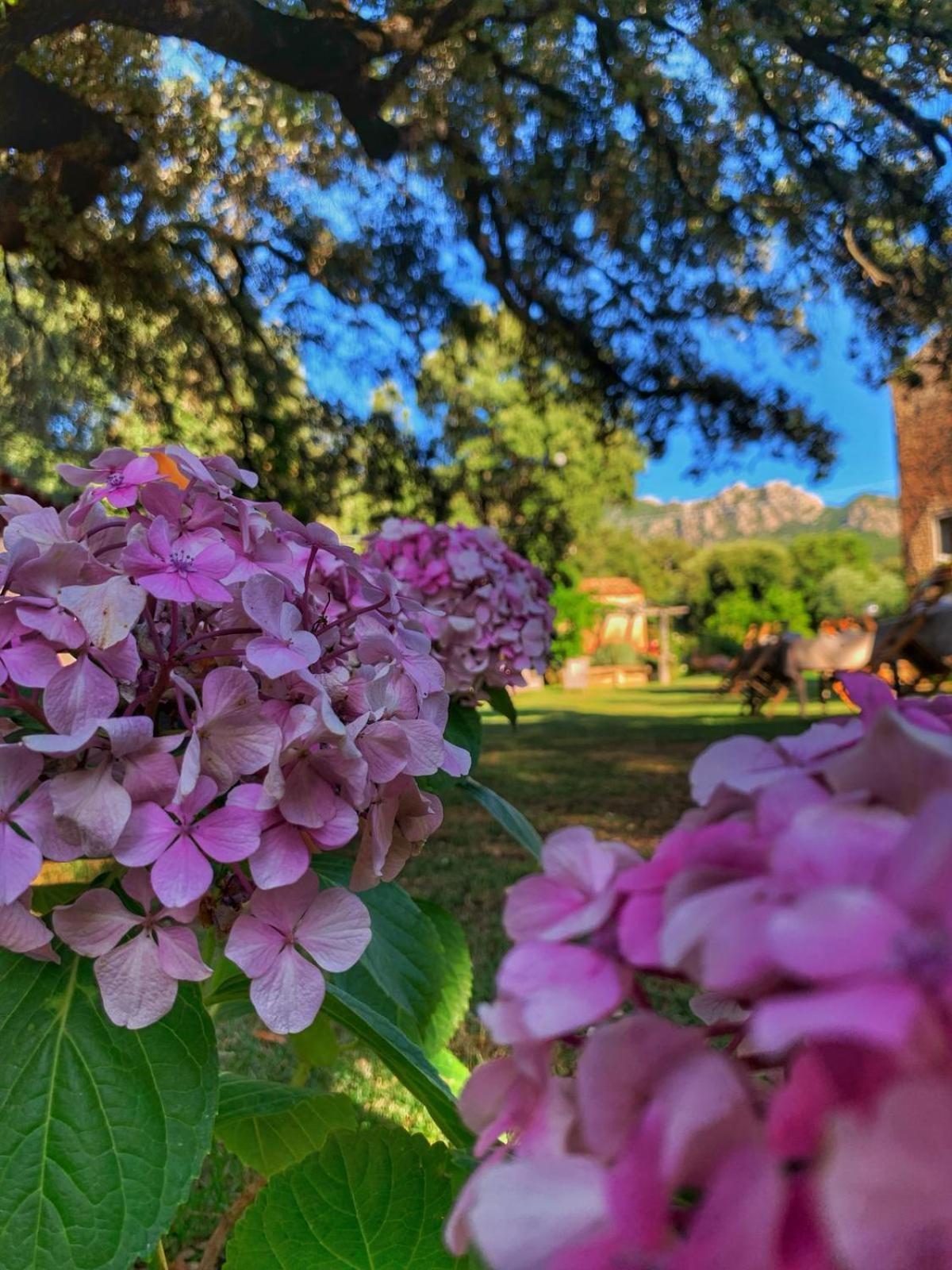 Agriturismo Casteddu Padru Bagian luar foto