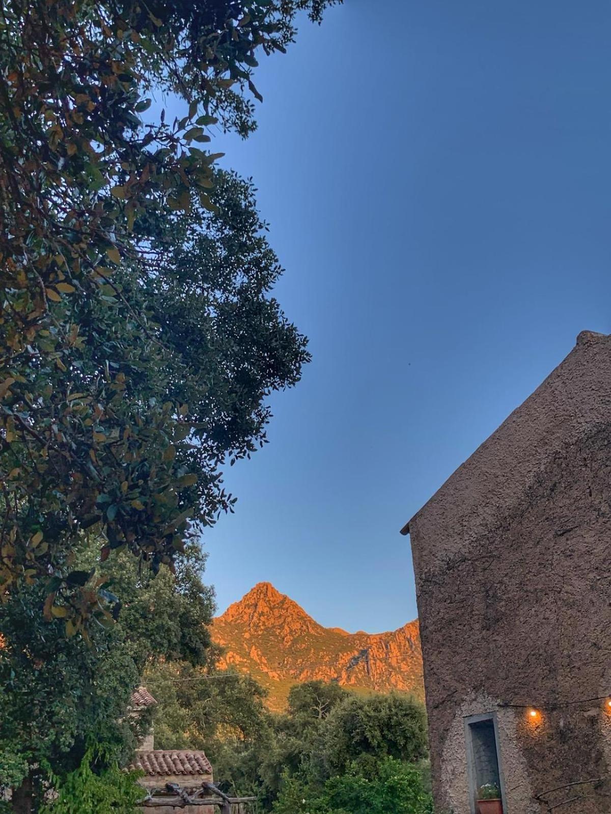 Agriturismo Casteddu Padru Bagian luar foto